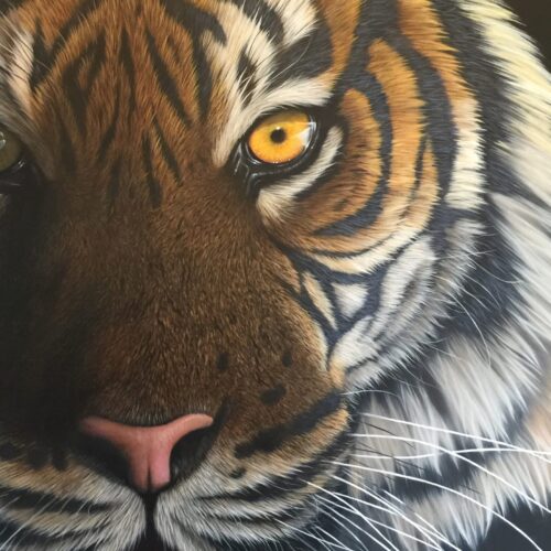 Jonathan Truss - Animal Artist