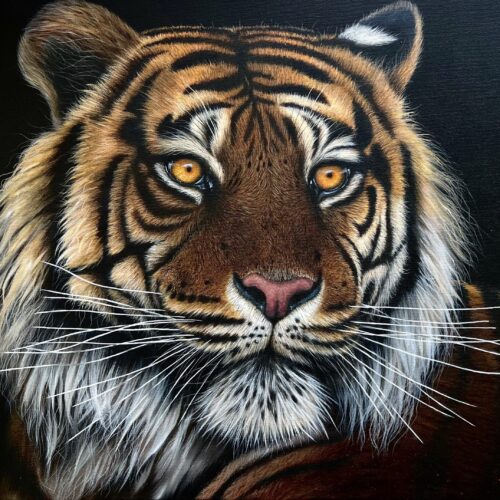Jonathan Truss - Animal Artist