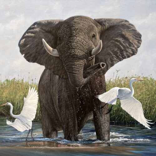 Jonathan Truss - Animal Artist