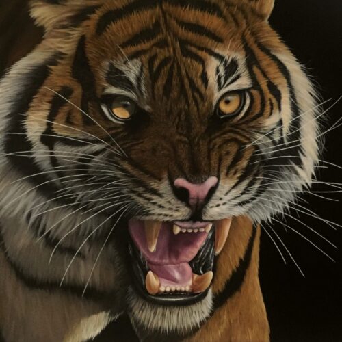 Jonathan Truss - Animal Artist